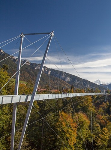 statical dynamical analysis